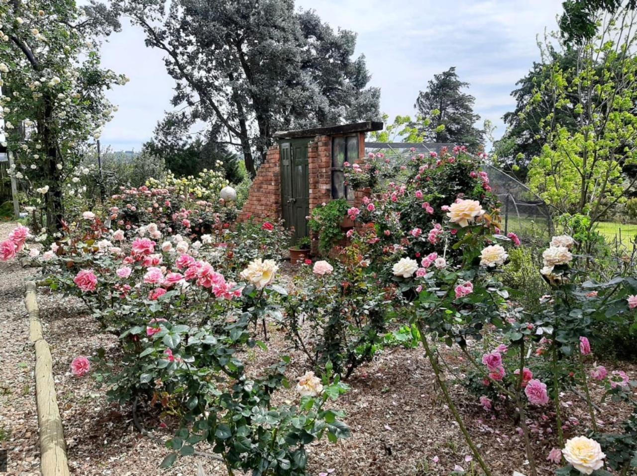 Ama Casa Cottages Champagne Valley Zewnętrze zdjęcie